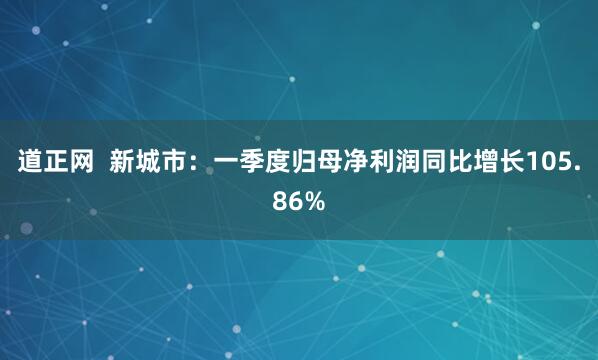 道正网  新城市：一季度归母净利润同比增长105.86%
