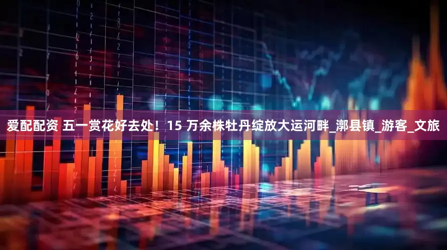 爱配配资 五一赏花好去处！15 万余株牡丹绽放大运河畔_漷县镇_游客_文旅