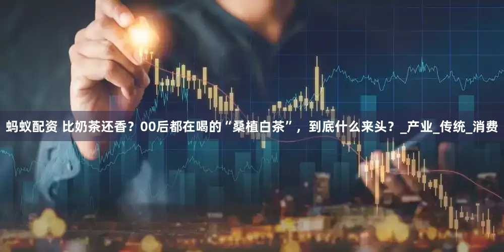 蚂蚁配资 比奶茶还香？00后都在喝的“桑植白茶”，到底什么来头？_产业_传统_消费