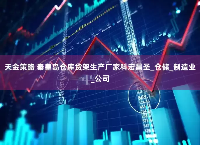 天金策略 秦皇岛仓库货架生产厂家科宏昌圣_仓储_制造业_公司