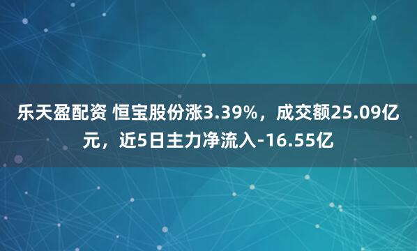 乐天盈配资 恒宝股份涨3.39%，成交额25.09亿元，近5日主力净流入-16.55亿