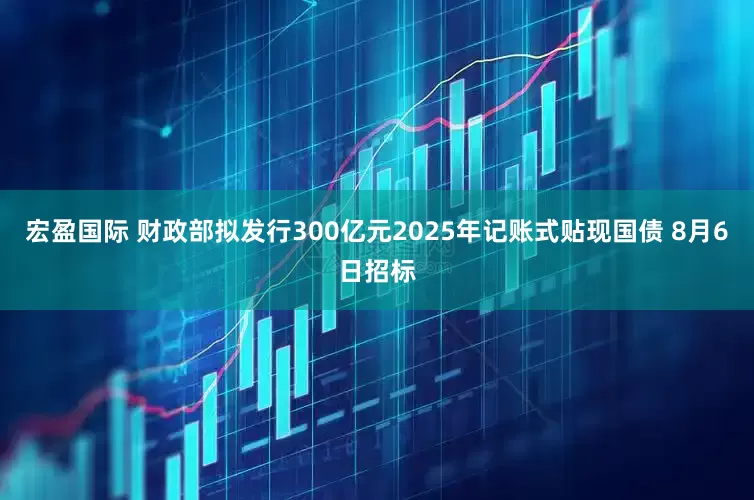 宏盈国际 财政部拟发行300亿元2025年记账式贴现国债 8月6日招标